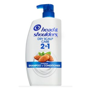 Head & Shoulders Dry Scalp Care 2-in-1 Anti-Dandruff Shampoo & Conditioner